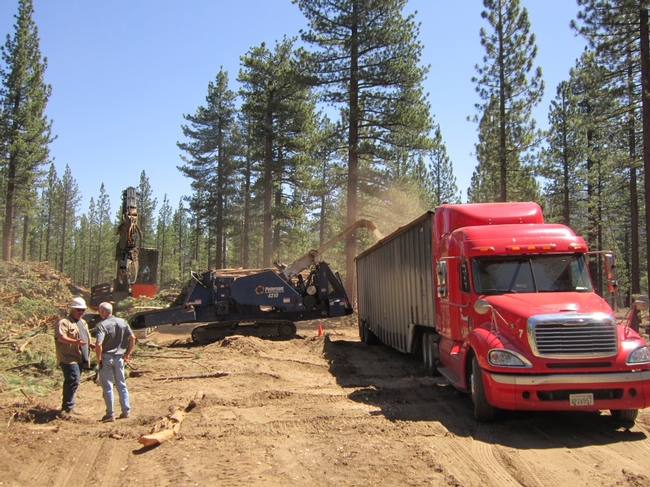 Slash piles are chipped and trucked to biomass facility.