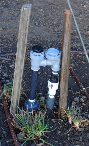 Manual irrigation valve. (Photo by Kathy Keatley Garvey)