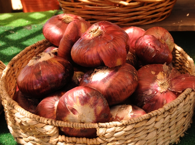 Red onions. Photo by Kathy Keatley Garvey