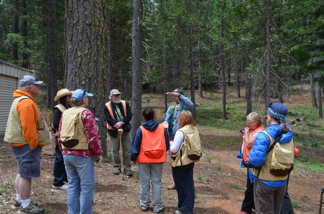 Teachers learn how to take tree measurements from Mike De Lasaux and Tom Catchpole of the Talk About Trees program at a Forest Institute for Teachers workshop.