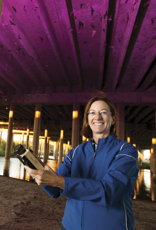 Rachael Long with a bat detector under the Davis causeway. (Photo: California Farm Bureau)