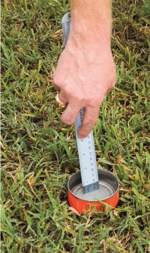 Empty tuna or cat food cans can be used to check sprinkler uniformity. (Photo: SFWMD)