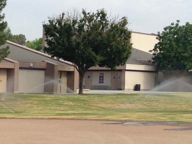UC ANR experts believe schools and parks should be a priority for irrigation, even during the drought.