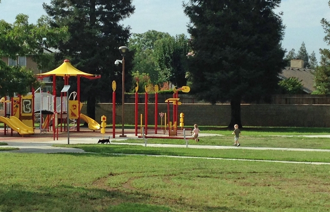 Children get exercise in suburban green space.