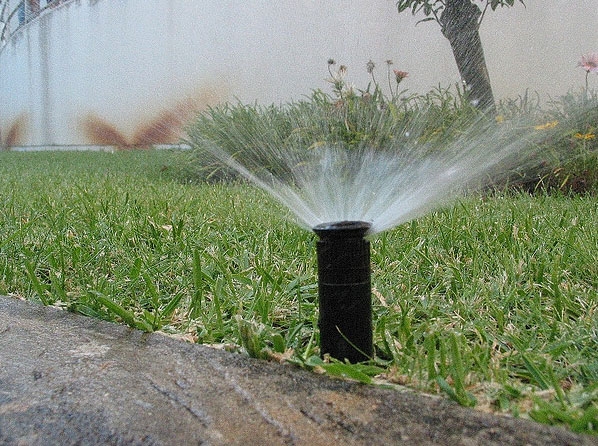 It's best to irrigate early in the morning. (Photo: Ricardo Bernardo)