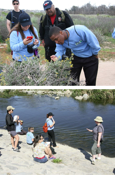 Naturalists observe native species and explore the L.A. River during field trips with the USC Sea Grant/SEA Lab CalNat course.