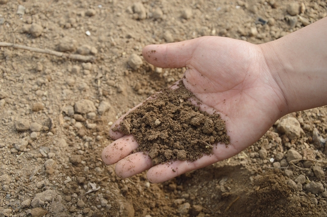 Soil is an often overlooked tool to fight the drought.