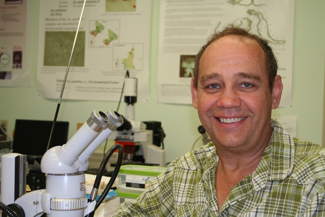 Anton Cornel, Ph.D., UC Davis entomologist and UC ANR researcher, based at the UC Kearney Agricultural Research and Extension Center in Parlier.