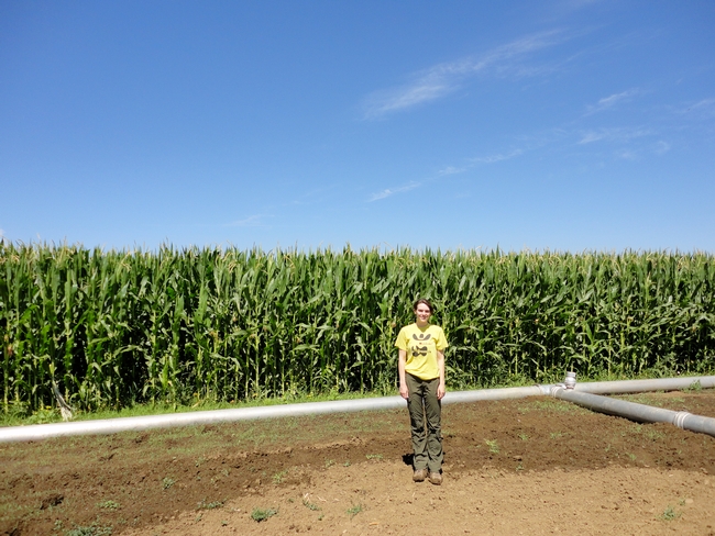 PhD candidate Deirdre Griffin stands in front of a corn field research plot at the Russell Ranch Sustainable Agriculture Facility