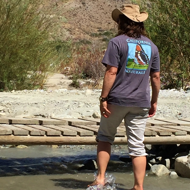 A California Naturalists explores the creek