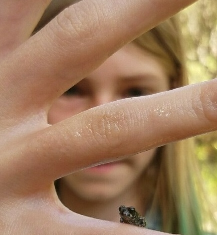 Mikayla McWilliams shows a tiny frog at the Sustainable You Summer Camp, UC Hopland Research and Extension Center.