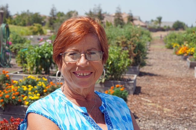 Sharon Butler is the president of the Ripon Community Garden. She attended the UC Master Gardener workshop to get research-based information on bee-friendly gardening.