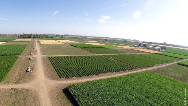 Long-term research at the Century Experiment shows how soil management and irrigation practices can influence the resilience of agricultural systems to climate change.