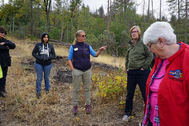 UCCE forestry advisor Susie Kocher, center, speaks during a field trip to a forest where many trees were killed by bark beetles.