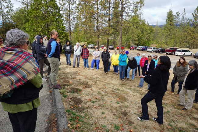 UC Master Gardeners learn from experts about replanting confer forests.