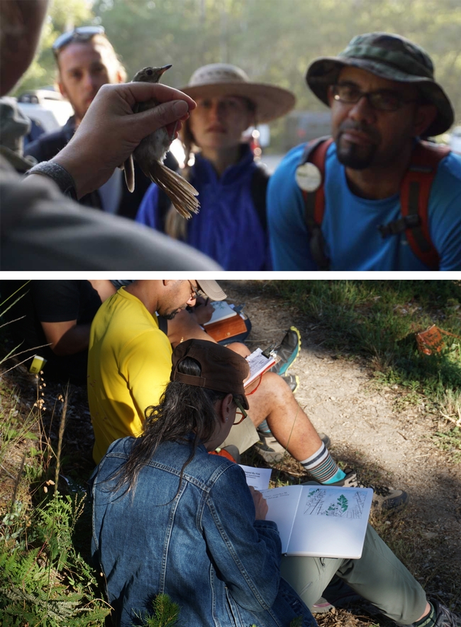The 2017 SPAWN (Salmon Protection & Watershed Network) California Naturalist course was designed to support more diverse leadership development in Bay Area parks and environmental education programs. It was geared toward teachers and educators.