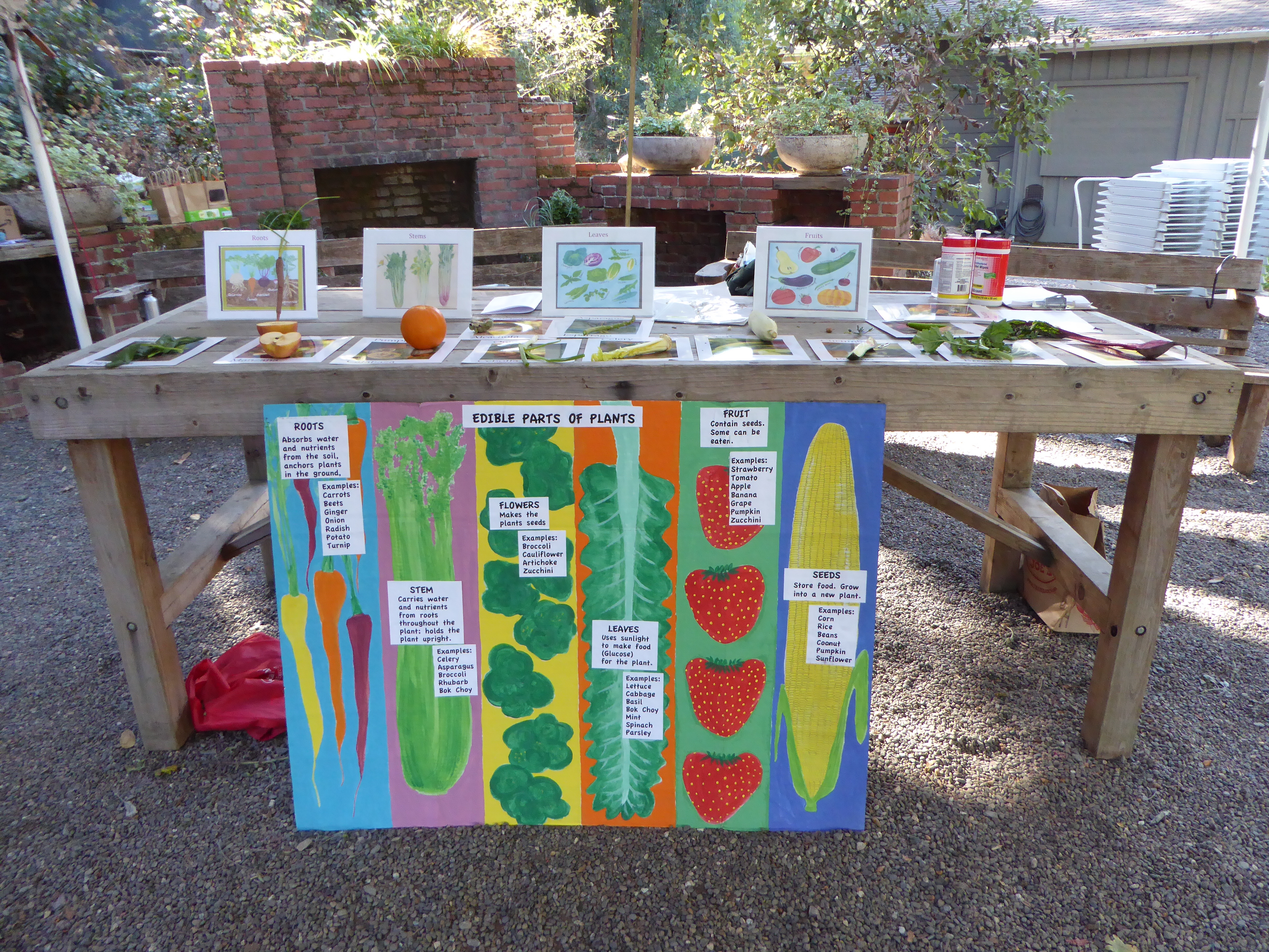 Dig-in to school gardens on June 17 with our School Garden