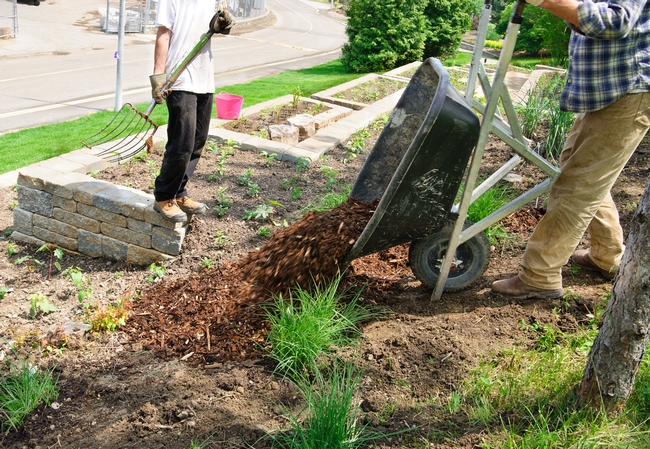 Mulch is a beautiful compliment to your landscape – not only is it aesthetic but it provides a valuable service to your soil.