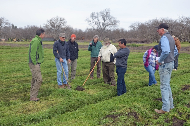 A group of organic farmers, shown above, are working with UC researchers to minimize tillage and optimize soil characteristics on their farms.