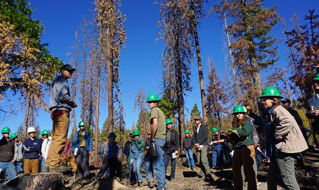 Participants in the pyrosilviculture training gather at a recent prescribed burn site near Shaver Lake.