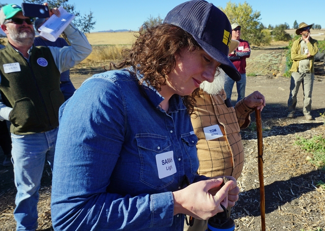 UC Cooperative Extension farm advisor Sarah Light examines a soil sample. The agronomy expert, who serves Yuba, Sutter and Colusa counties, is a cooperator on the project.
