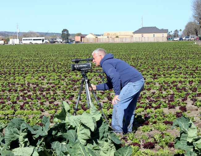 UC Cooperative Extension vegetable crops specialist Jeff Mitchell shoots video for the vegetable production series.