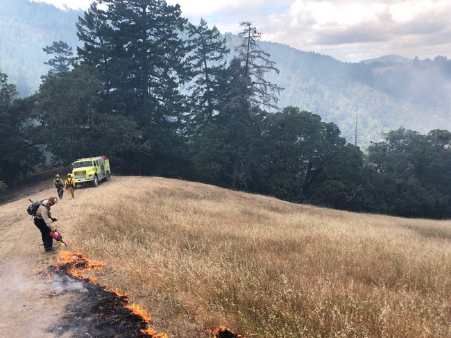 Imil Ferrara of the Mendocino County Fire Safe Council on a burn during the UCANR Fire Retreat in June. (Photo: Lenya Quinn-Davidson)