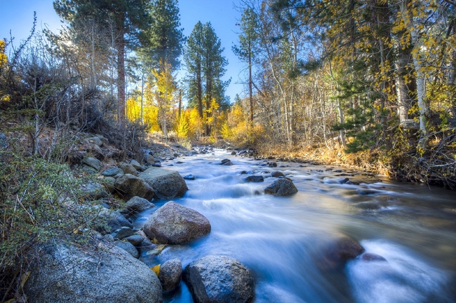 About 60% of California water flows from the state's forests, an invaluable ecosystem service.