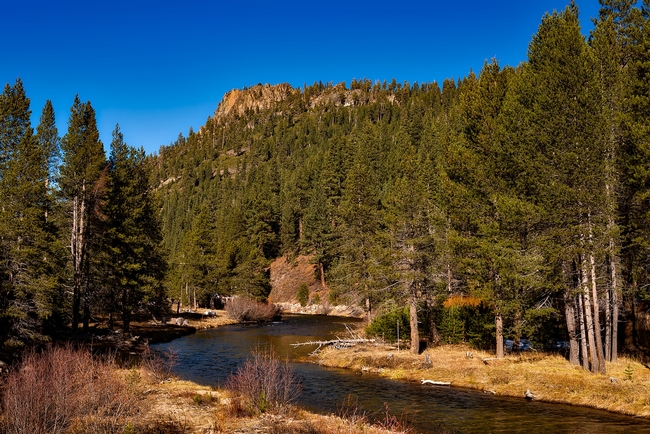 Sierra Nevada beauty along the Truckee River. (Photo: David Mark from Pixabay)