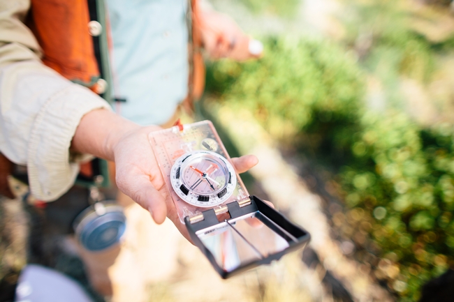 A compass is one of the tools professional foresters use to establish plots when collecting data about a forest.