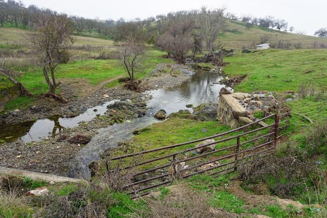 California's developed water is vital to urban areas, irrigated agriculture and the environment.