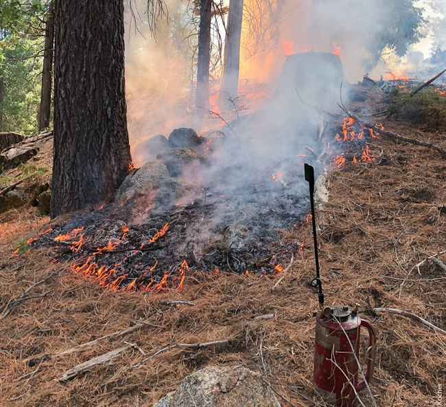 A torch sits in the foreground as flames blacken low, dry vegetation.