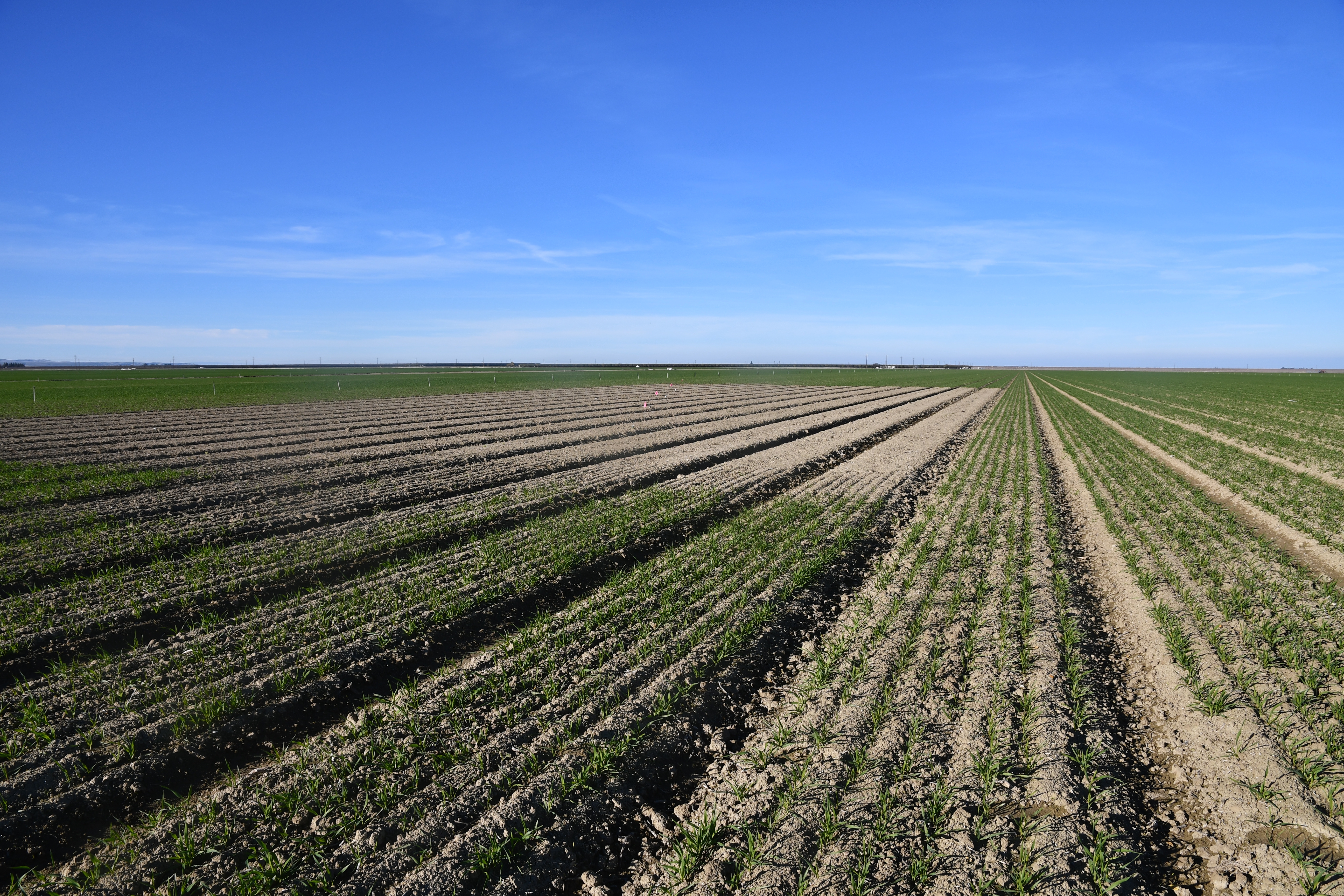 Evapotranspiration over San Joaquin Valley