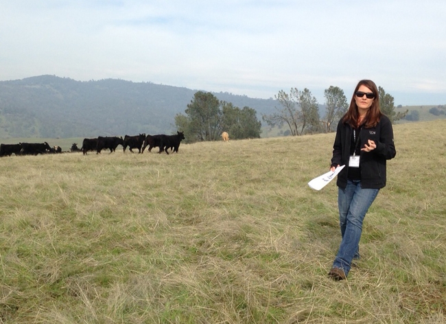 Leslie Roche stands in a pasture with cattle grazing behind her.