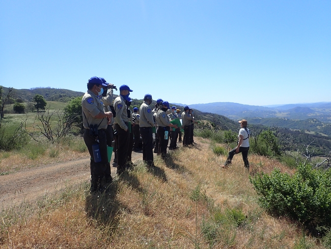 Group of students in the California Naturalist class standing on a hillside discussing