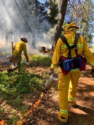 Newly appointed coordinator Kestrel leads volunteer from local fire department during ignitions on spring prescribed burn. May 2022. Photo by Susie Kocher.