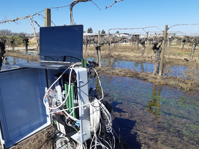 Box with instruments that record soil data in a flooded vineyard