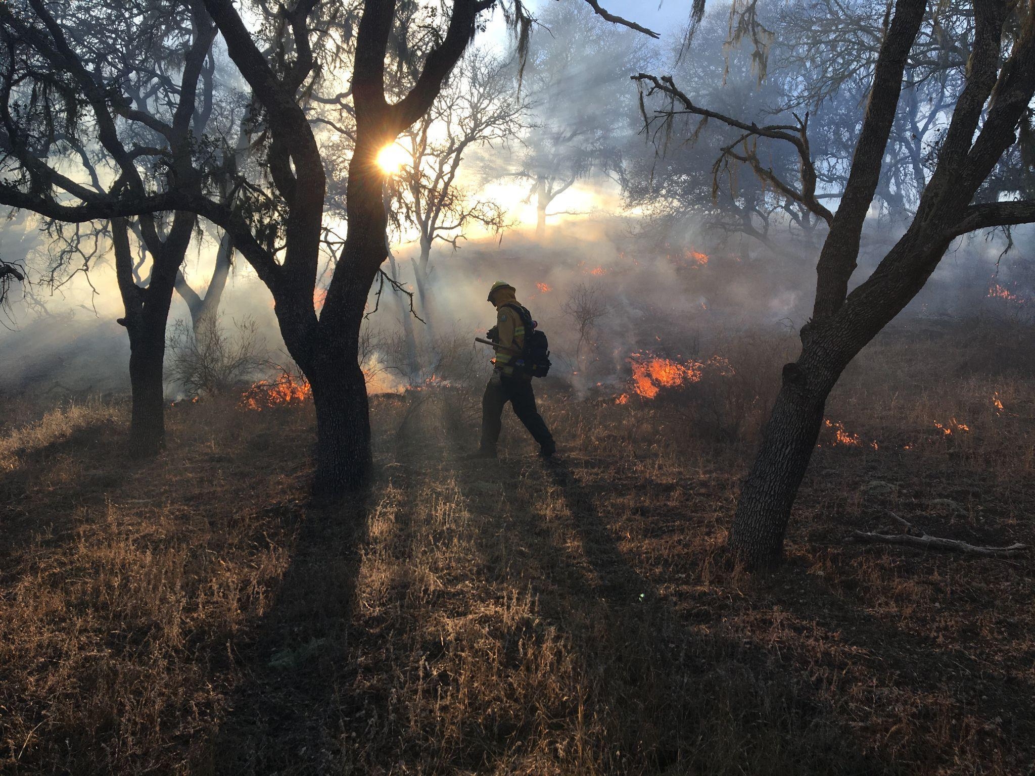 Public Invited To Observe Prescribed Fire Training June 4-9 - Green ...