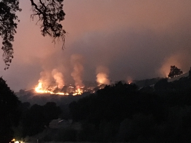 Fire image looking from lysimeter 072718