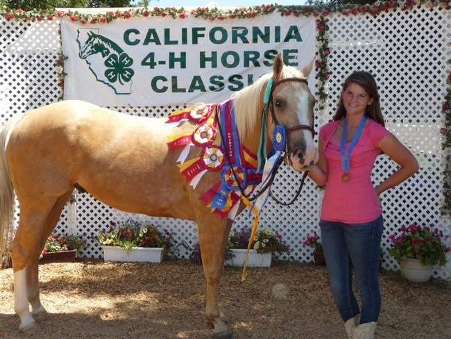 Alli and horse