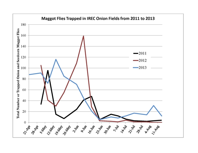 Trapped maggot flies at IREC in 2011-2013