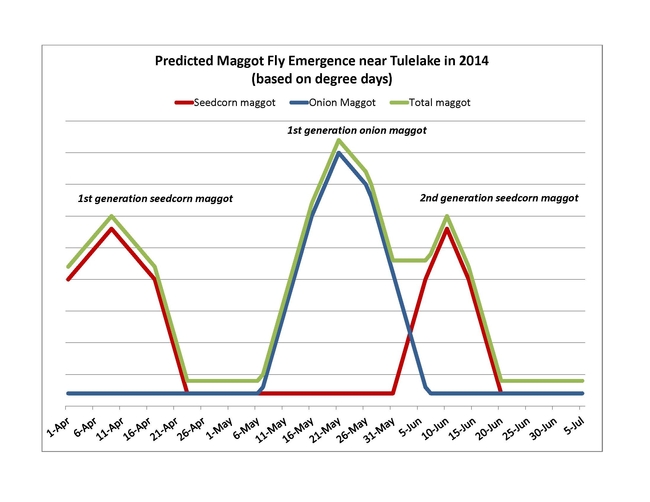 2014 predicted maggot emergence
