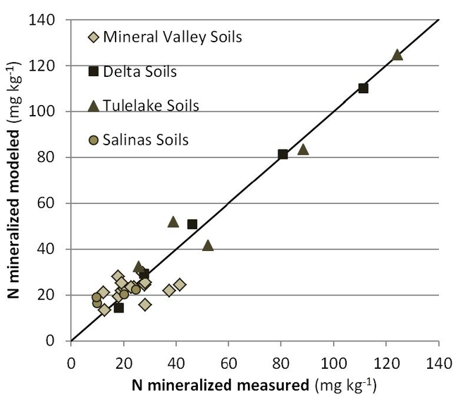 Comparison between measured and modeled N mineralization.