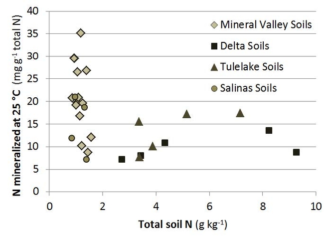 Net N mineralization as a function of total soil N.