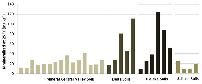 Net N mineralization rates of the 30 soils included in the study.