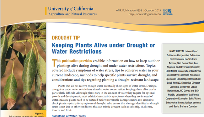 Keeping plants alive under drought and water restrictions free publication from ANR