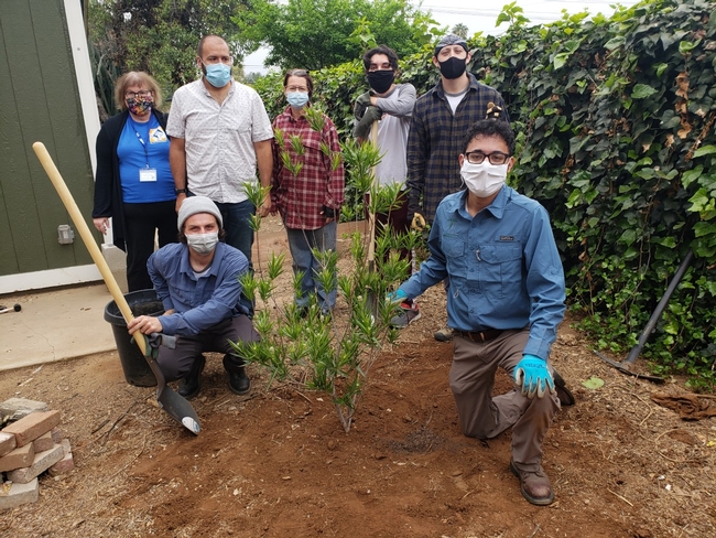 volunteers and fellows and tree recipients in redlands