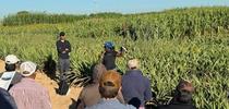 Jackie Atim discussing sorghum trials for Kearney news updates Blog