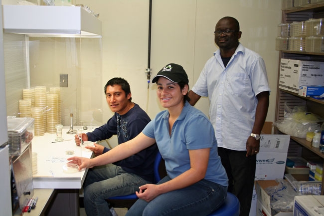 Left to right, interns Lucas Bartolón and Kenia Ruiz with Herve Avenot, an assistant project scientist working in the Michailides lab.