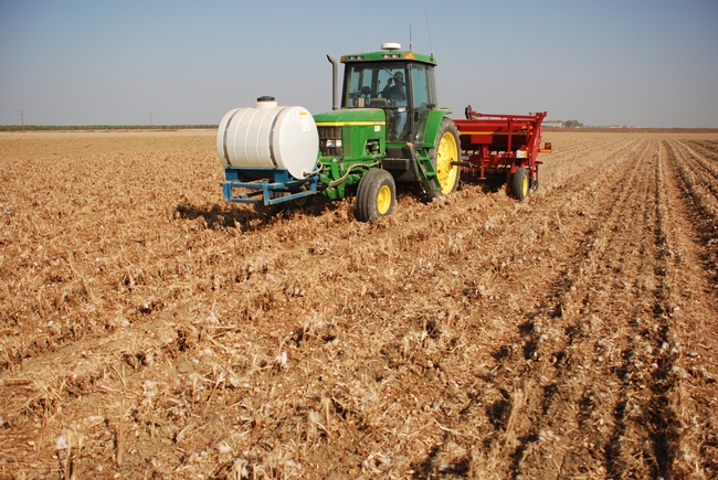 Conservation tillage can achieve yields similar to standard cultivation methods and at lower cost.